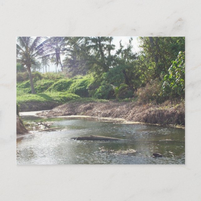 Kauai Paradise Postcard Postkarte (Vorderseite)