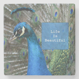 Kauai Peacock Feathers Steinuntersetzer