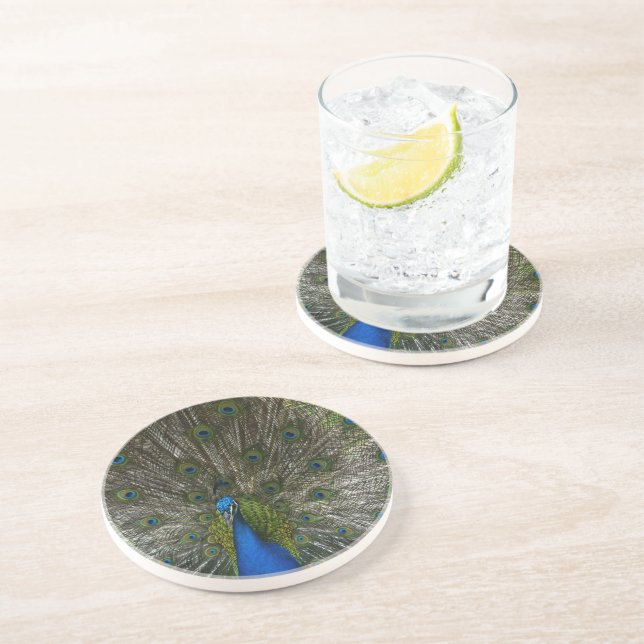 Kauai Peacock Getränkeuntersetzer (Seite)