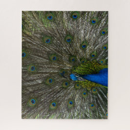 Kauai Peacock Puzzle