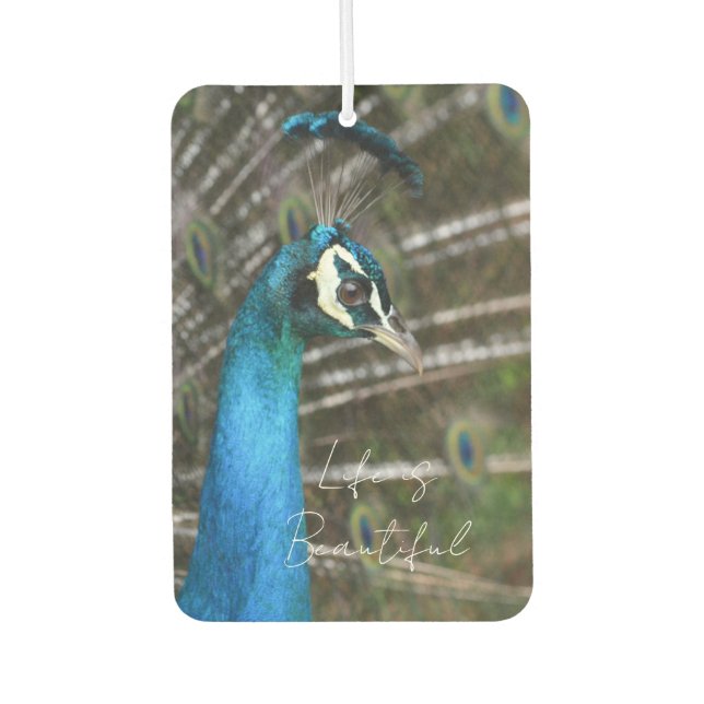 Kauai-Pfau  Autolufterfrischer (Vorderseite)