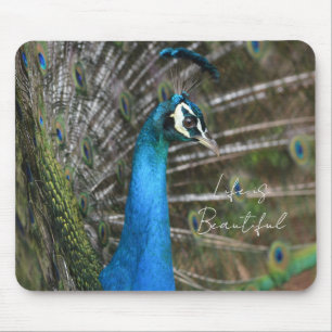 Kauai-Pfau  Mousepad