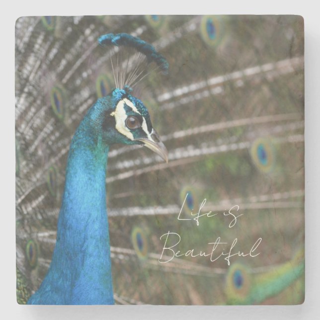 Kauai-Pfau  Steinuntersetzer (Vorderseite)