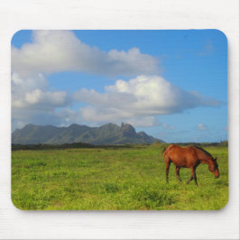 Kauai-Pferd Vista Mousepad