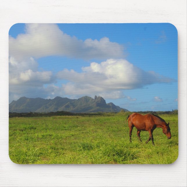 Kauai-Pferd Vista Mousepad (Vorne)