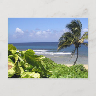 Kauai Postkarte