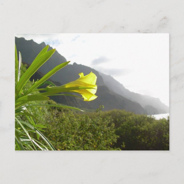 Kauai-Postkarte Postkarte (Vorderseite)