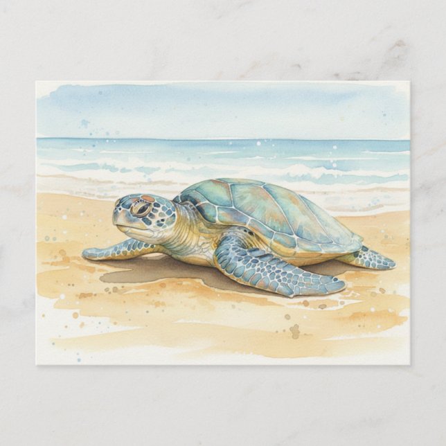 Kauai  Sea Turtles Resting at the Beach Postkarte (Vorderseite)