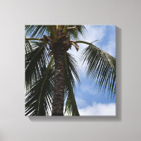 Kauai Tropical Palm Tree