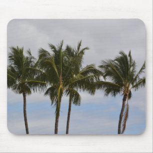 Kauai-Tropische Palmen (von mir aufgenommenes Foto Mousepad
