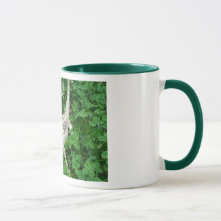 Kauen von Beardie Tasse