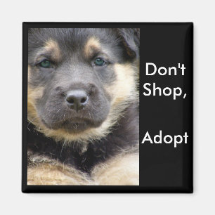 Kaufen Sie nicht adoptieren! shep Magneten Magnet
