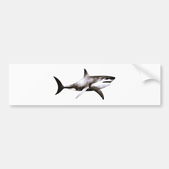 KAUFSTICKER-ETIKETT ART&DESIGN AUTOAUFKLEBER (Vorne)