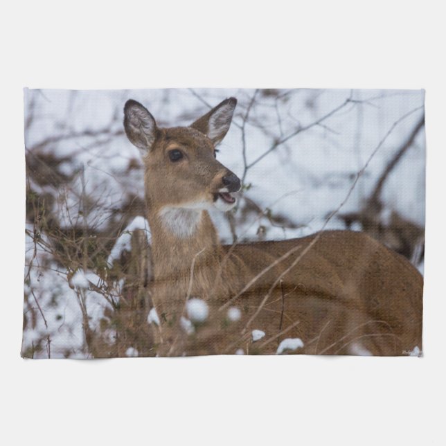 kaulig küchentuch (Horizontal)