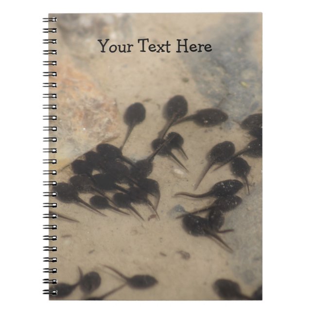 Kaulquappen Notizblock (Vorderseite)