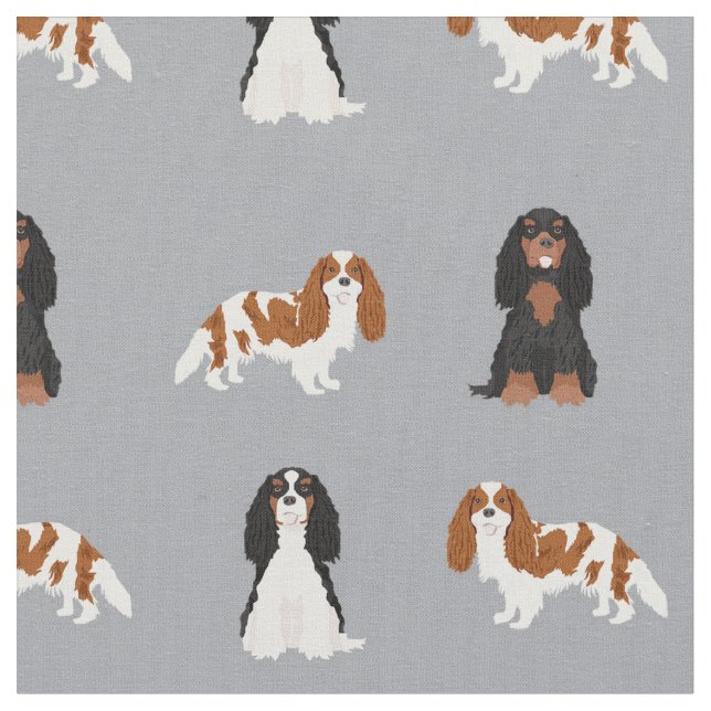 Kavalier kc spaniel dogs grau stoff (Nahaufnahme)