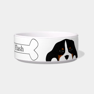 Kavalier König Charles Spaniel Hund Napf