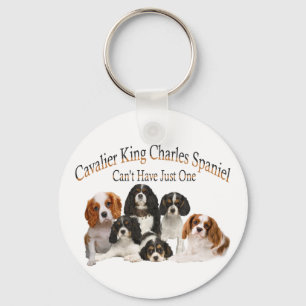Kavalier König Charles Spaniel kann nicht nur ein Schlüsselanhänger