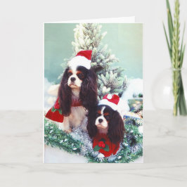 Kavaliere am Weihnachten