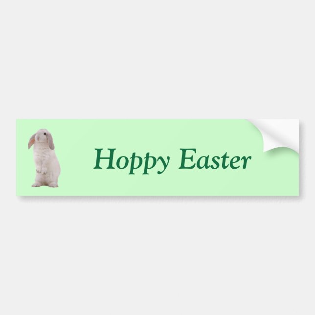 Kawaii Niedlich Bunny Rabbit Autoaufkleber (Vorne)