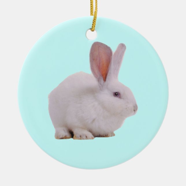 Kawaii Niedlich Bunny Rabbit Keramikornament (Vorne)