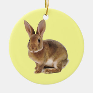 Kawaii Niedlich Bunny Rabbit Keramikornament