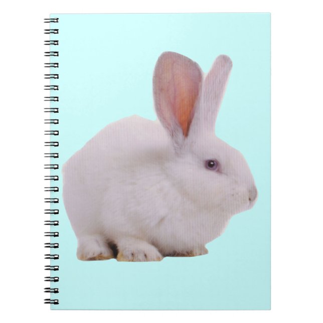 Kawaii Niedlich Bunny Rabbit Notizblock (Vorderseite)