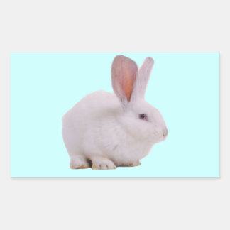 Kawaii Niedlich Bunny Rabbit Rechteckiger Aufkleber