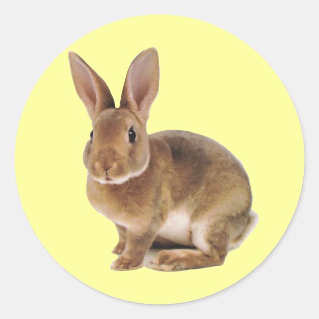 Kawaii Niedlich Bunny Rabbit Runder Aufkleber (Vorderseite)