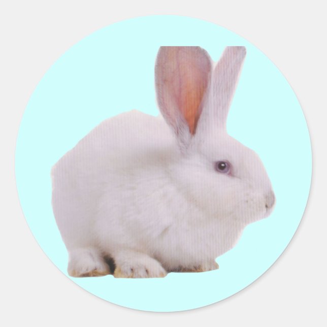 Kawaii Niedlich Bunny Runder Aufkleber (Vorderseite)
