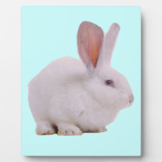 Kawaii niedliches Häschen-Kaninchen Fotoplatte