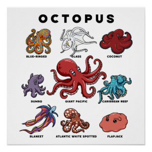 Kawaii-Oktopus der Welt Poster
