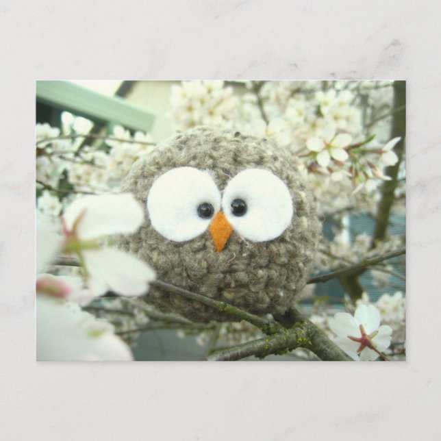 Kawaii Oliver the Owl Postkarte (Vorderseite)