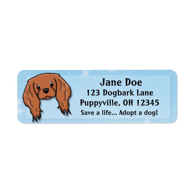 Kawaii Ruby Cavalier King Charles Spaniel (Vorne)