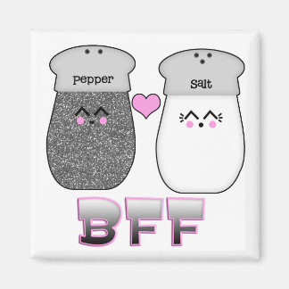 Kawaii Salt n Pepper BESTE FREUNDIN Magnet