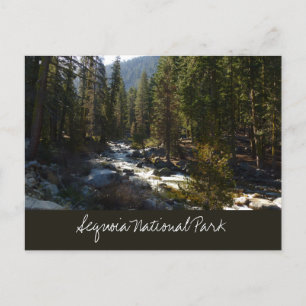 Kaweah Fluss im Sequoia National Park Postkarte