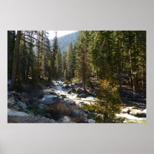 Kaweah River im Sequoia-Nationalpark Poster