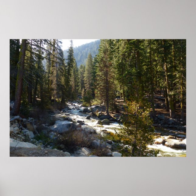Kaweah River im Sequoia-Nationalpark Poster (Vorne)