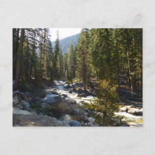 Kaweah River im Sequoia-Nationalpark Postkarte