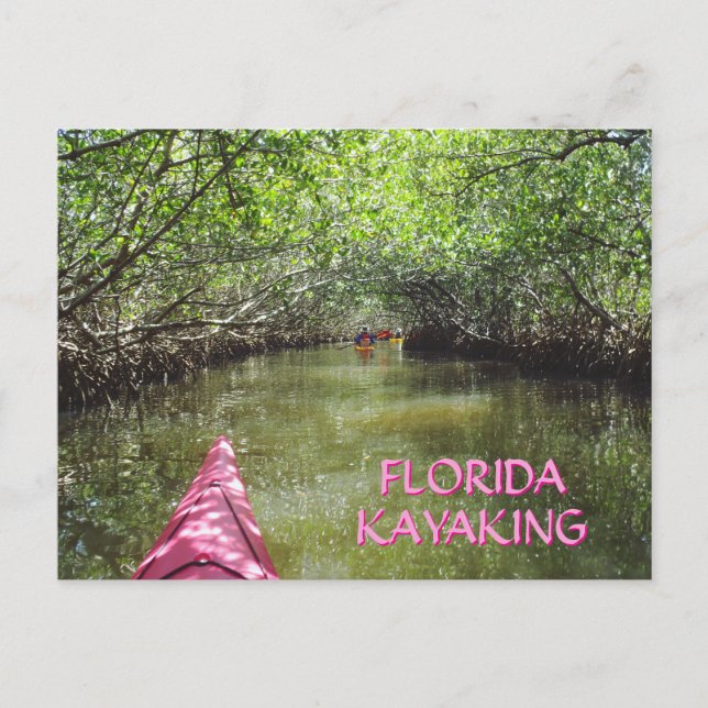 Kayaking Through the Mangroves Florida Adventure Postkarte (Vorderseite)