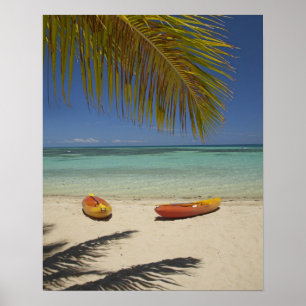 Kayaks am Strand, Plantation Island Resort Poster