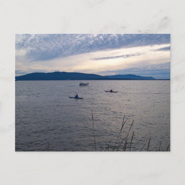 KAYAKS AUF BELLINGHAM BAY POSTKARTE (Vorderseite)
