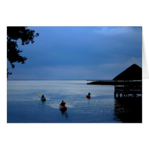 Kayaks auf dem Sound