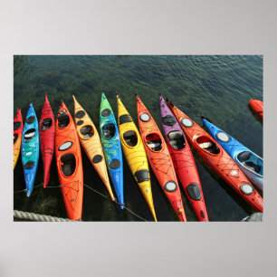 Kayaks-Poster Poster