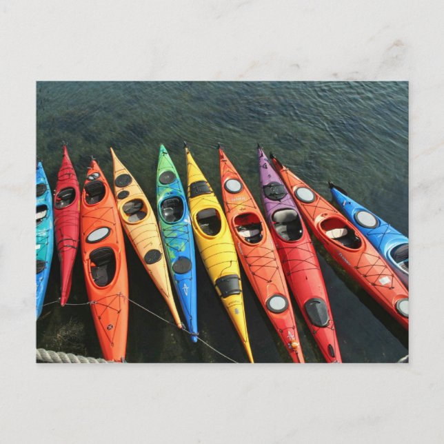 Kayaks! Postkarte (Vorderseite)