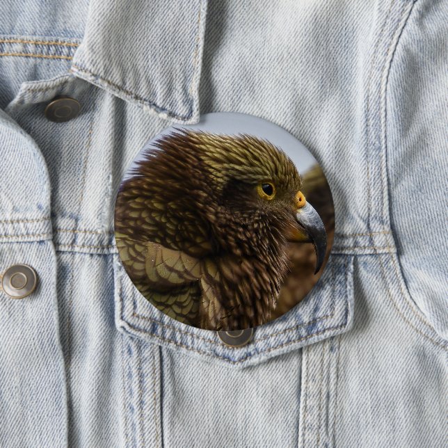 Kea (Nestor notabilis) Button (Beispiel)