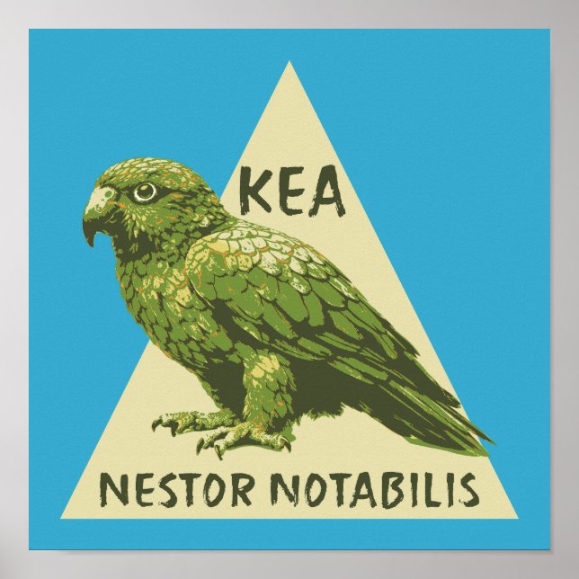 Kea Neuseeland-Vogel Poster (Vorne)