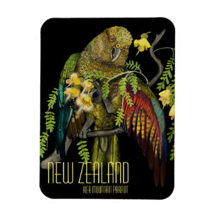 Kea New Zealand Mountain Parrot Magnet