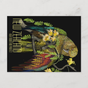 Kea New Zealand Mountain Parrot Postkarte