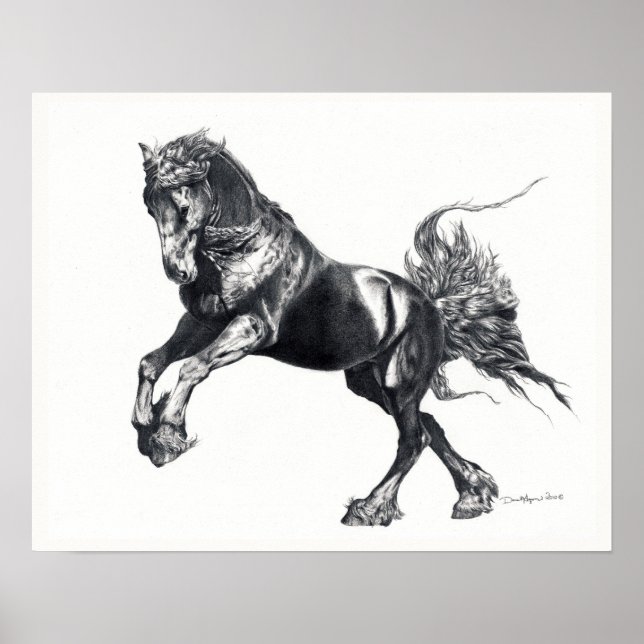 Keegan Jewel Friesian Stallion Poster (Vorne)